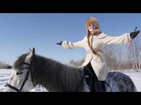 Видео: Три белых коня (песня из к/ф "Чародеи")