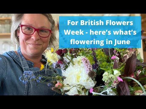 Видео: Я сделаю ручную завязку, пока буду показывать все виды цветов и листьев, которые нам предстоит ср...