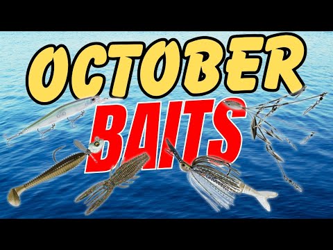 Видео: Посмотрите это, прежде чем отправиться на рыбалку на окуня в октябре!