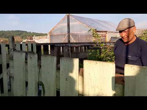 Видео: В гостях у моих родителей