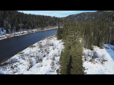 Видео: ОСЕННЯЯ РЫБАЛКА! ВСЁ РАСТАЯЛО! Кое как ВЫБРАЛИСЬ!