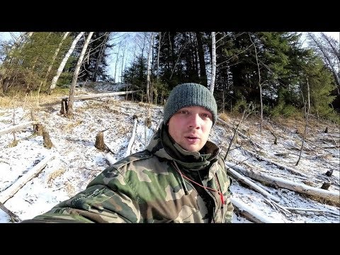 Видео: Охота на бобра с КП-250 (крупный бобр добыт)