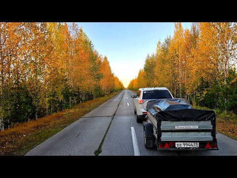 Видео: РЕКА КИПИТ ОТ РЫБЫ