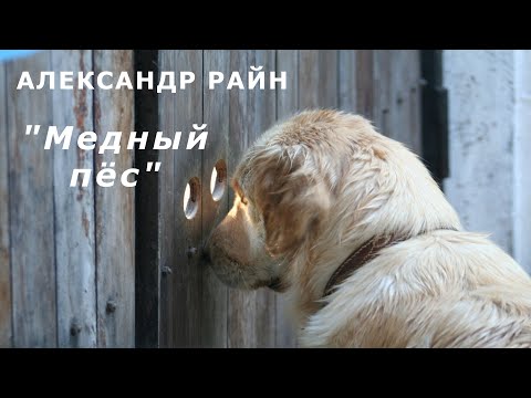 Видео: "Медный пёс". Александр Райн.