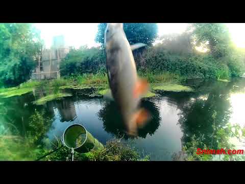 Видео: На почивка в Приморско - част 4. Река Ропотамо - 17.09.2018