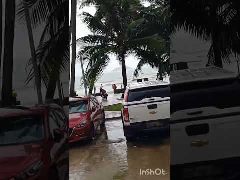 Видео: Едем на экскурсионном автобусе, Нячанг. 29.10.25г.