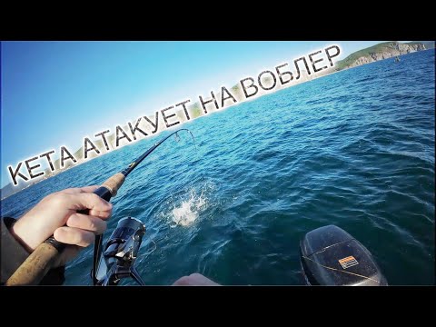 Видео: РУДНАЯ ПРИСТАНЬ / ЛОВЛЯ КЕТЫ В МОРЕ