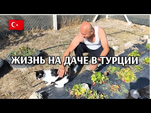 Видео: Наша жизнь на даче в Турции 🥰