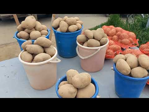 Видео: Торговля На Рынке//ТОРГУЮ 2 ДНЯ//ТЯЖЕЛО ПРОДАТЬ(