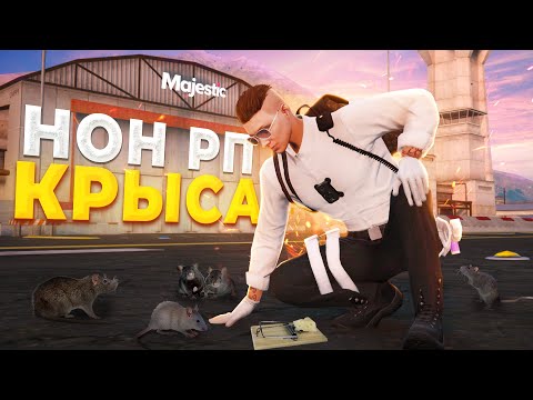 Видео: НОН РП КРЫСА ПОПАЛАСЬ В МЫШЕЛОВКУ ГОСНИКОВ в GTA RP / MAJESTIC RP