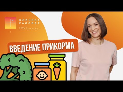 Видео: Введение прикорма