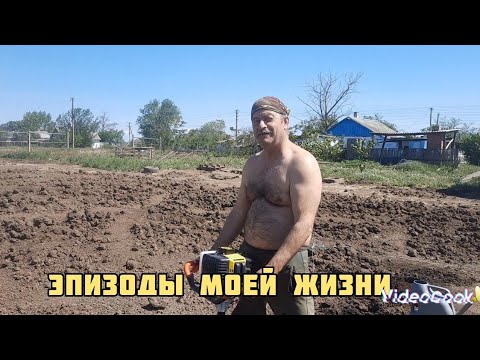 Видео: 12 мая 2024 г.Крымская жизнь!Рождение новых жизней.