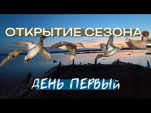 Видео: Сааскы кус 2025 | часть 1
