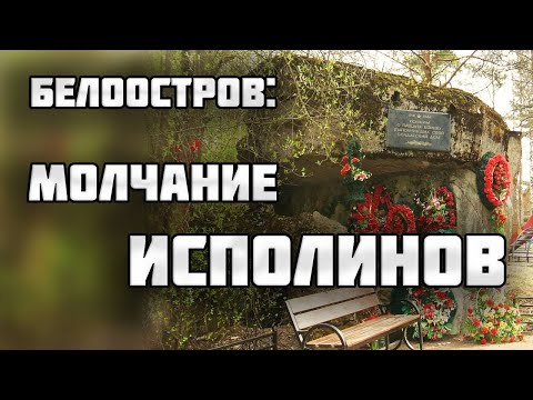 Видео: БЕЛООСТРОВ: Что скрывают подземелья разрушенного ДОТа?