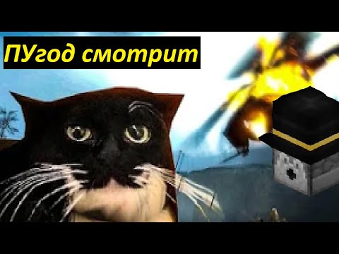 Видео: ПУгод смотрит: "Half-Life 2, но у меня есть кот".