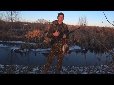 Видео: охота с пневматикой на утку. доделал печку в землянке