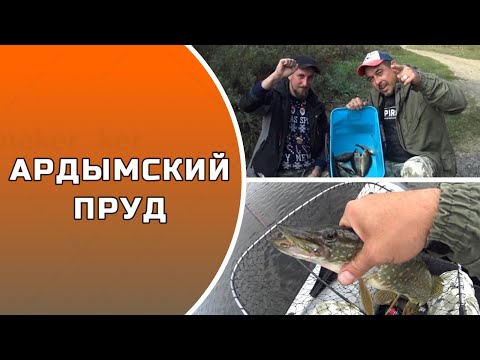 Видео: АРДЫМСКИЙ ПРУД