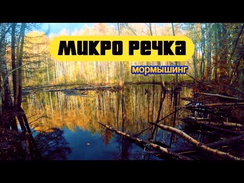 Видео: #мормышинг | Микро речка |