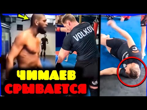 Видео: Хамзат Чимаев безумно тренируется с Александром Волковым! А Топурия против Усмана на 77 кг?!