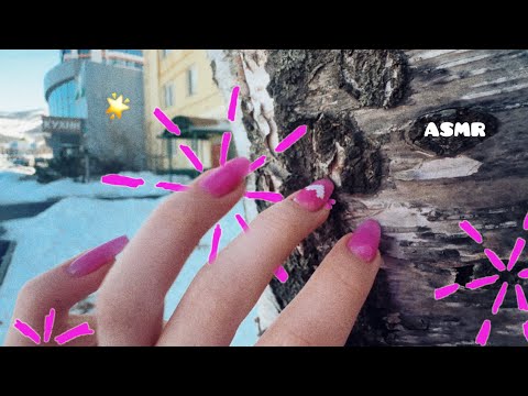 Видео: АСМР ПО ДЕРЕВУ , ликинг , таппинг , скретчинг и прочее 😊