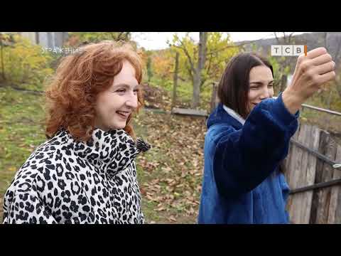 Видео: В Приднестровье завелись страусы