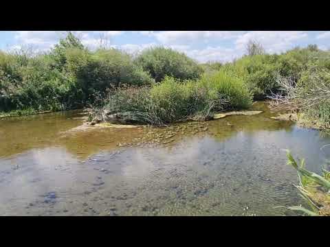 Видео: Караганда: Шерубайнура печальная