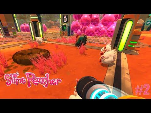 Видео: мои собственные курочки ▷ прохождение Slime Rancher #2