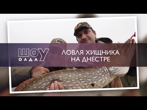 Видео: Ловля хищника на Днестре  | ШоУолда №144