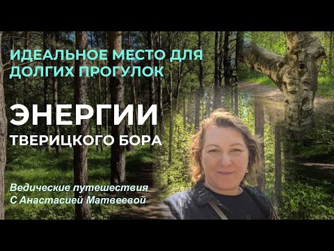 Видео: Энергии Тверицкого бора