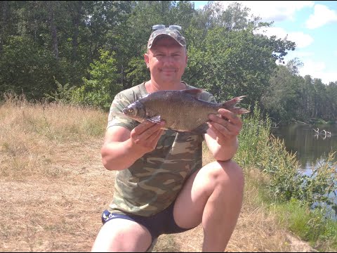 Видео: Река Неман. Отдых и немного о рыбалке.