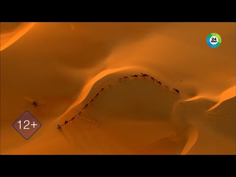 Видео: Сырдарьинский коридор. Руины торговых городов