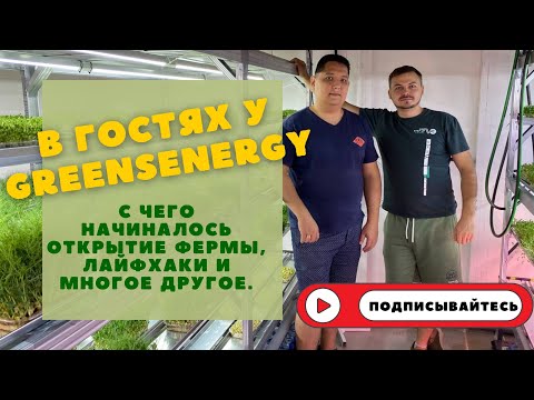Видео: Ситиферма Greens Energy | из медицины в ситифермеры | бизнес Микрозелени