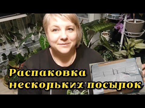 Видео: Распаковка нескольких посылок с растениями