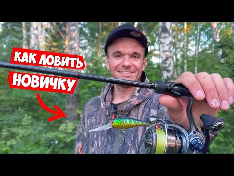 Видео: Рыбалка на СПИННИНГ для НОВИЧКА . Как ловить на СПИННИНГ НОВИЧКУ без секретов!