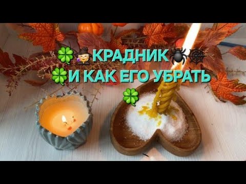 Видео: 🧙КРАДНИК 🧙И ЧТО С НИМ ДЕЛАТЬ❓ ✨