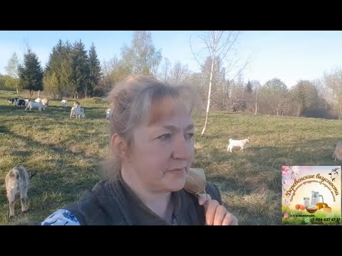 Видео: А вот и мы, с хорошими новостями и отличным настроением!!!