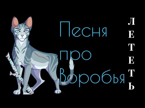 Видео: "Лететь"/ Песня про Воробья ( КВ)