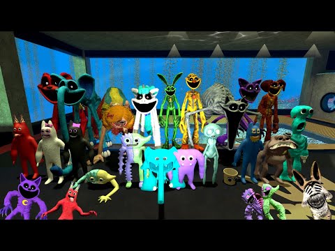 Видео: Пинаем Новый All Poppy Playtime Family Catnap Huggy Garten Of Banban Zoonomaly Sprunki в Garry's Mod