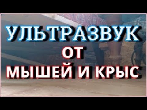 Видео: Ультразвук от мышей и крыс Звук отпугивающий мышей и крыс Мощный ультразвук звук от мышей и крыс