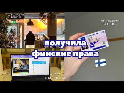 Видео: daily vlog: замена прав на финские / учёба в Финляндии / болтовня