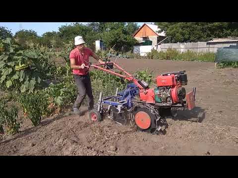 Видео: 72#Копаем картошку. 24.08.2021