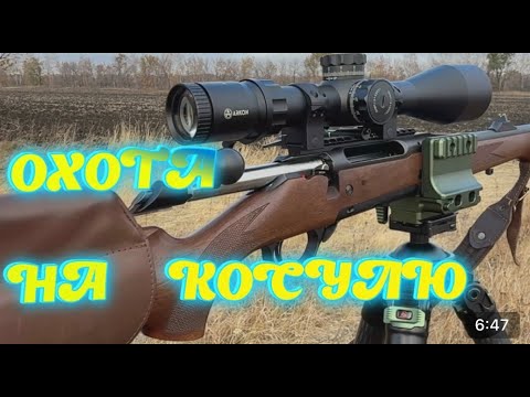 Видео: ОХОТА НА КОСУЛЮ