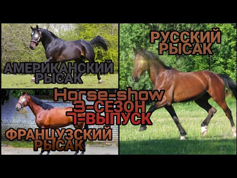 Видео: 🐴Horse-Show🐴 3-СЕЗОН 7-ВЫПУСК (АМЕРИКАНСКИЙ, РУССКИЙ, ФРАНЦУЗСКИЙ РЫСАК) "Подмена"