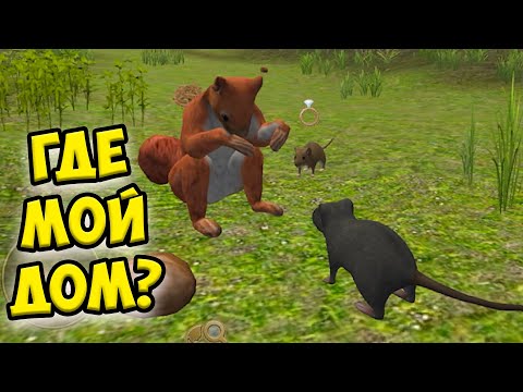 Видео: 😍СИМУЛЯТОР МЫШИ🐁Напал барсук и белка Ухаживаю за питомцем
