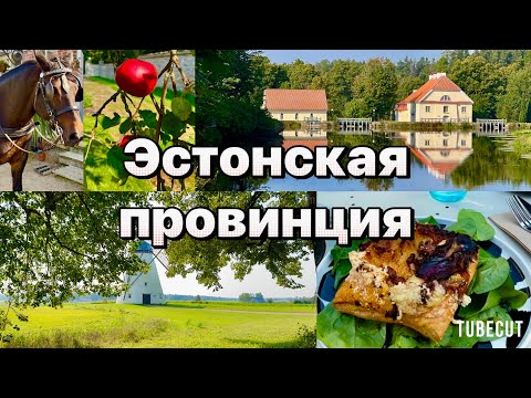 Видео: Эстония  путешествие по северному побережью