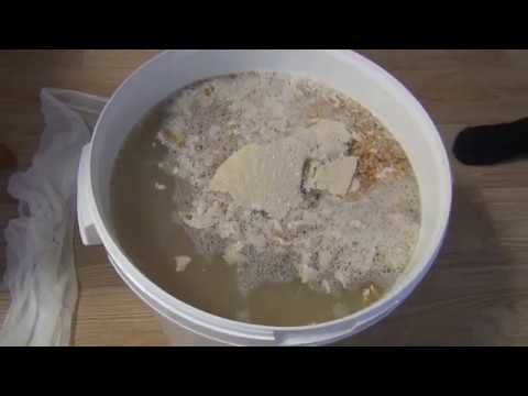 Видео: Простой рецепт сахарной браги на диких дрожжах пшеницы