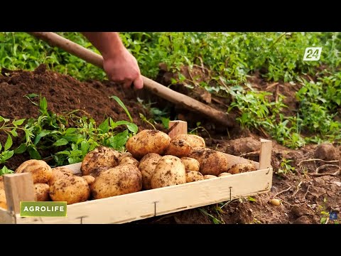 Видео: Подпитывать почву, чтобы земля вновь была плодородной | AgroLife