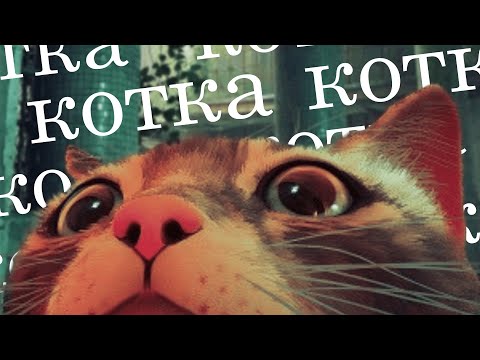 Видео: коткакоткакоткакоткакоткакоткакоткакоткакоткакоткакоткакоткакоткакоткакоткакоткакоткакоткакоткакотка