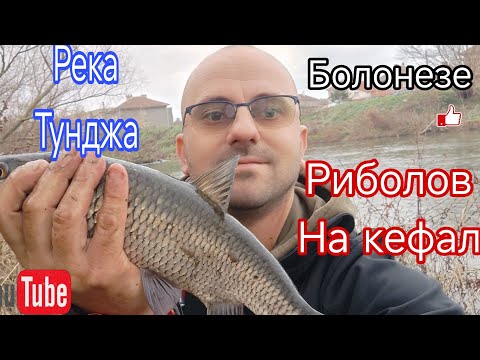 Видео: РИБОЛОВ на  КЕФАЛ, Река Тунджа! РИБОЛОВ на БОЛОНЕЗЕ, КЕФАЛИ на ИЗТИЧАНЕ.