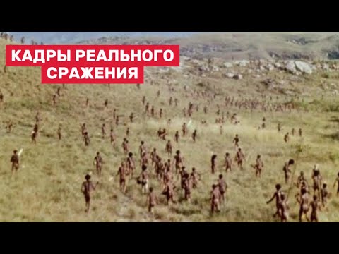 Видео: Уникальные кадры Сражения между племенами Западного Папуа 1963 г